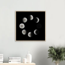 Load image into Gallery viewer, Phases of the Dandelion - Wooden Framed Poster