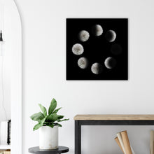 Load image into Gallery viewer, Phases of the Dandelion - print, no frame