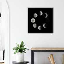 Load image into Gallery viewer, Phases of the Dandelion - Wooden Framed Poster