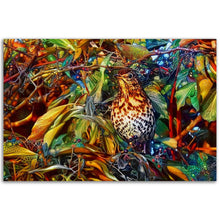 Load image into Gallery viewer, All the thrushes were magic thrushes -- print, no frame