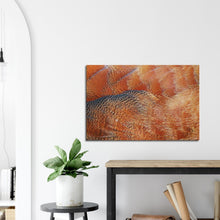 Load image into Gallery viewer, South African Shellduck - Canvas