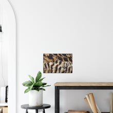 Load image into Gallery viewer, Eider Duck - Canvas