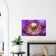 Load image into Gallery viewer, Clematis - Canvas