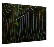 Load image into Gallery viewer, Dewy web - Canvas
