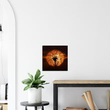 Load image into Gallery viewer, Goatsbeard Dawn - Canvas