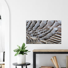 Load image into Gallery viewer, Emperor Goose - Canvas