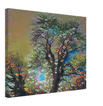 Load image into Gallery viewer, Dawnflower