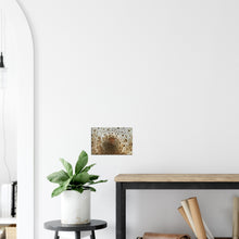 Load image into Gallery viewer, Parasol mushroom - Canvas