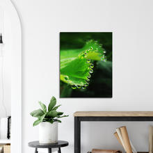 Load image into Gallery viewer, The world is full of magic things - Canvas