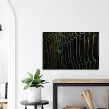 Load image into Gallery viewer, Dewy web - Canvas