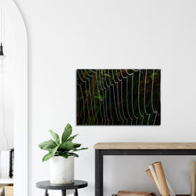 Load image into Gallery viewer, Dewy web - Canvas