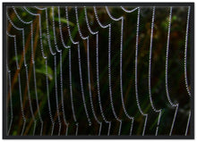 Load image into Gallery viewer, Dewy Web - Print with frame