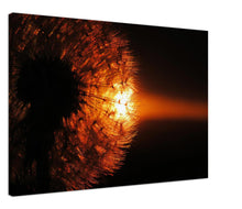 Load image into Gallery viewer, Dark Side of the Dandelion - Canvas