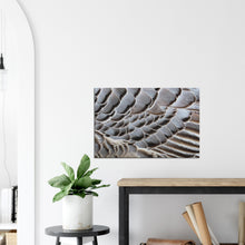 Load image into Gallery viewer, Emperor Goose - Canvas