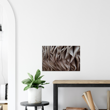 Load image into Gallery viewer, Parasol Mushroom Gills - Canvas