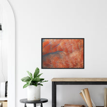 Load image into Gallery viewer, South African Shelduck - print with frame