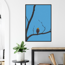 Load image into Gallery viewer, Yellowhammer - digital artwork - print with frame