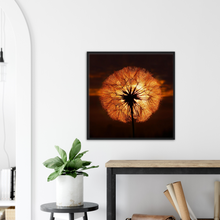 Load image into Gallery viewer, Goatsbeard Dawn - Print with frame