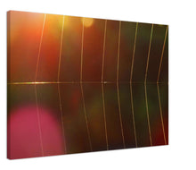 Load image into Gallery viewer, Dawn Spider's Web - canvas