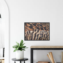 Load image into Gallery viewer, Eider Duck - print with frame