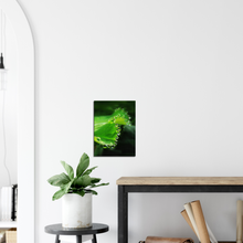 Load image into Gallery viewer, The world is full of magic things - Canvas