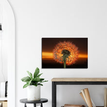 Load image into Gallery viewer, Dandelion Dawn - Canvas