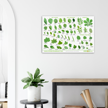Load image into Gallery viewer, Tree Leaves Print