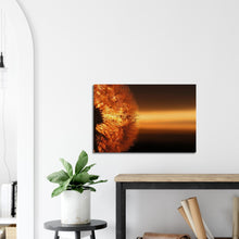 Load image into Gallery viewer, Another Dandelion Dawn - Canvas