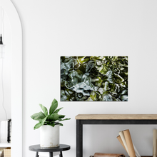 Load image into Gallery viewer, Blue Water