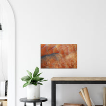 Load image into Gallery viewer, South African Shellduck - Canvas