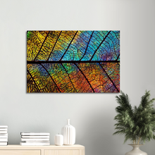 Load image into Gallery viewer, Leaf Skeleton Sunrise, Remix - Canvas
