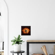 Load image into Gallery viewer, Goatsbeard Dawn - Print with frame