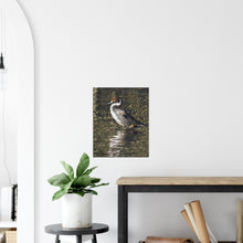 Load image into Gallery viewer, Pintail 2 - canvas