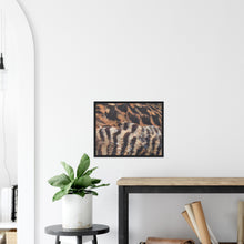Load image into Gallery viewer, Eider Duck - print with frame