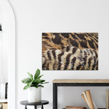 Load image into Gallery viewer, Eider Duck - Canvas