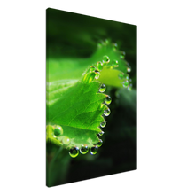 Load image into Gallery viewer, The world is full of magic things - Canvas