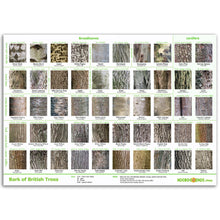 Load image into Gallery viewer, Tree Bark Poster