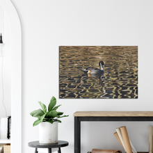 Load image into Gallery viewer, Pintail - canvas
