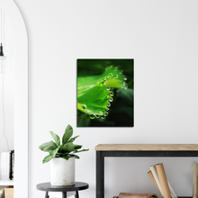 Load image into Gallery viewer, The world is full of magic things - Canvas