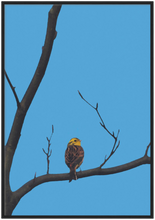 Load image into Gallery viewer, Yellowhammer - digital artwork - print with frame