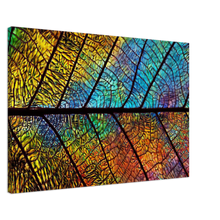 Load image into Gallery viewer, Leaf Skeleton Sunrise, Remix - Canvas