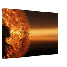 Load image into Gallery viewer, Another Dandelion Dawn - Canvas
