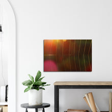 Load image into Gallery viewer, Dawn Spider's Web - canvas
