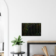 Load image into Gallery viewer, Dewy web - Canvas