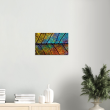 Load image into Gallery viewer, Leaf Skeleton Sunrise, Remix - Canvas