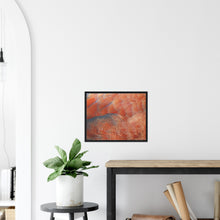 Load image into Gallery viewer, South African Shelduck - print with frame