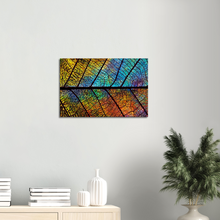 Load image into Gallery viewer, Leaf Skeleton Sunrise, Remix - Canvas