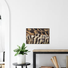 Load image into Gallery viewer, Eider Duck - Canvas