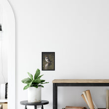 Load image into Gallery viewer, Pintail 2 - print with frame