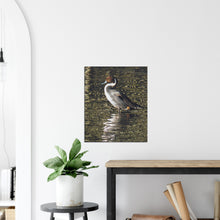 Load image into Gallery viewer, Pintail 2 - canvas